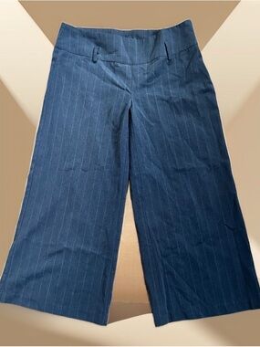 Urban Behavior Navy Pinstripe Wide-Leg Crop Pants